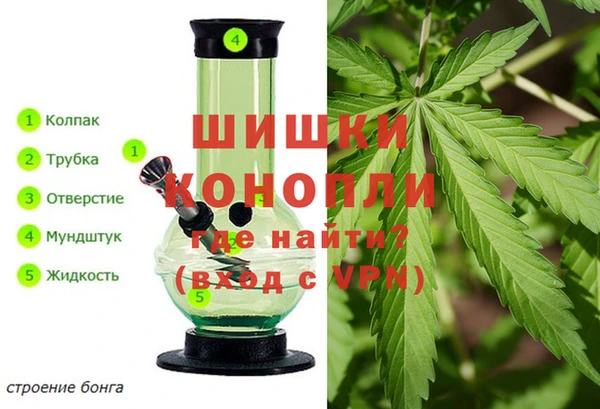 jwh Белокуриха