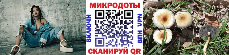 Псилоцибиновые грибы MAGIC MUSHROOMS Новосокольники